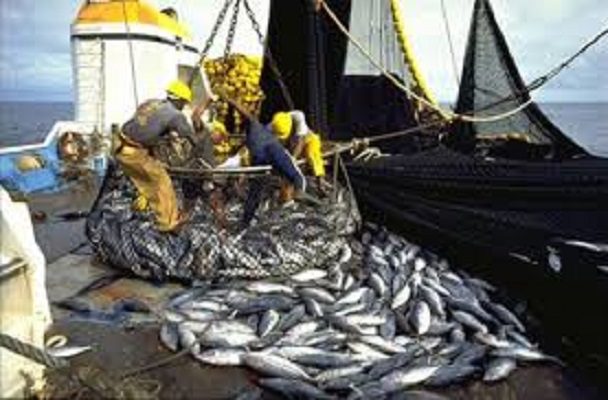 Sénégal : Hausse de 11.889 tonnes des débarquements de la pêche à fin août 2017