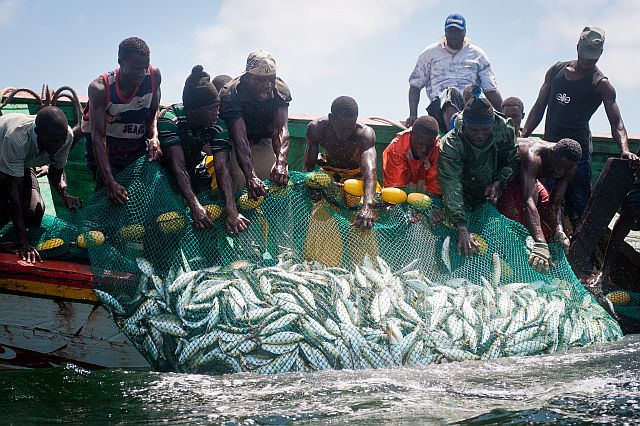 Commerce: La pêche représente 14% des exportations