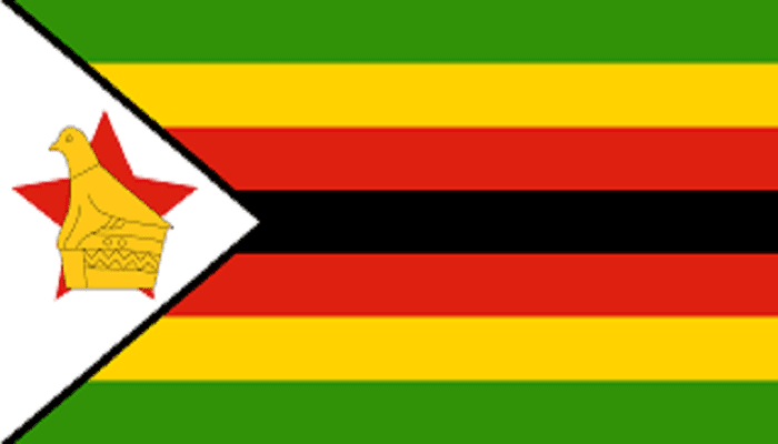 Zimbabwe-Crise politique : Un « coup d’Etat » qui ne dit pas son nom