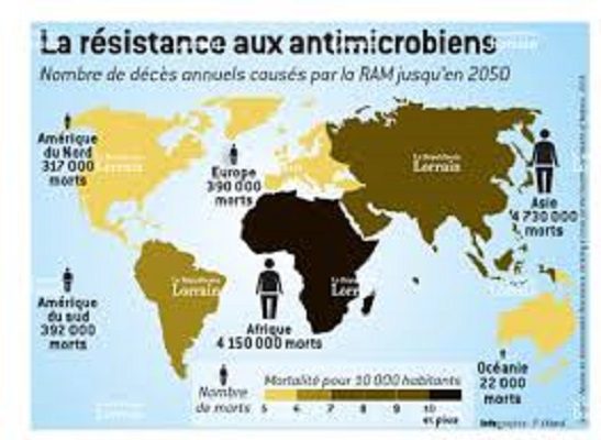 Résistance aux antimicrobiens : 100.000 milliards de dollars de perte/an d’ici à 2050 (Officiel)