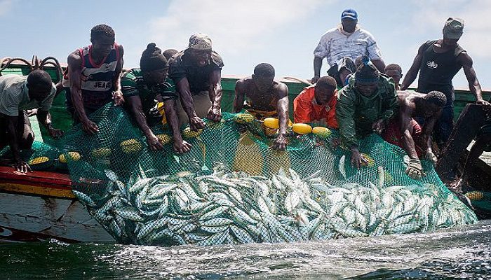 Subventions aux pêcheries : Le Sénégal en mission séduction en Argentine