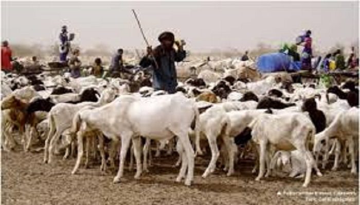 Agriculture – Elevage : Le budget passe de 9,569 milliards en 2012 à 22,305 milliards en 2017 (Gouvernement)