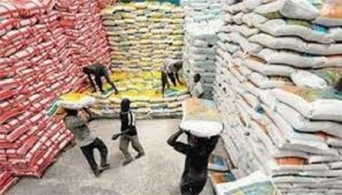 Agriculture : La SAED vise les 60% pour atteindre l’autosuffisance en riz