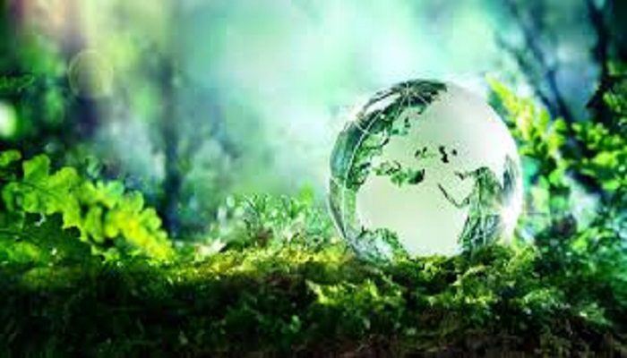 Rétro 2017 Environnement : Célébration de la JME et la découverte de l’énergie à vapeur