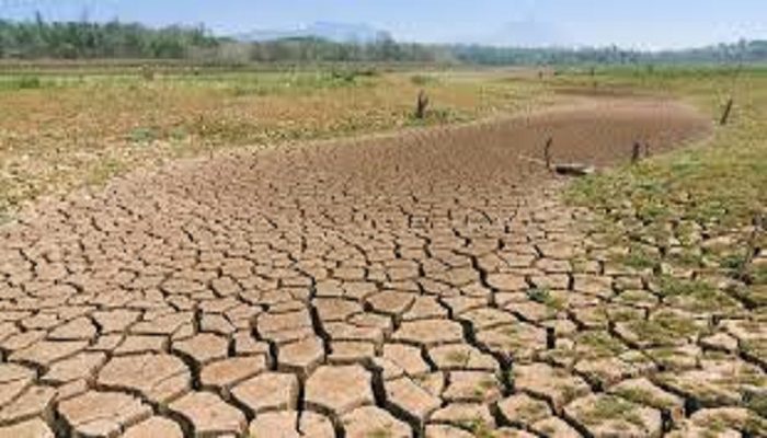 Environnement : La dégradation des terres est à un niveau inquiétant (Experts)
