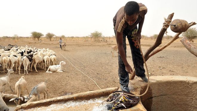 7 millions de personnes menacées par la famine au Sahel