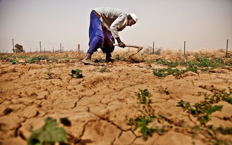 La malnutrition menace des millions de sahéliens