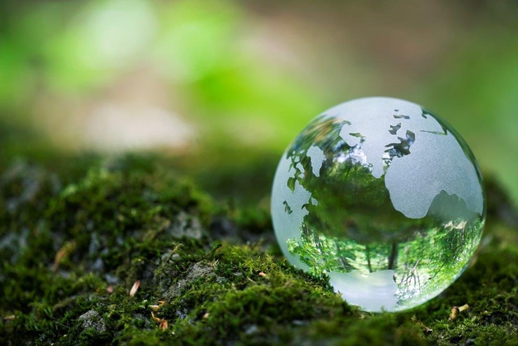 Biodiversité : Des experts onusiens font part d’une situation »alarmiste »