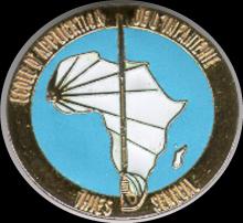 Formation militaire : 76 officiers de 19 pays africains scellent leur formation à l’EAI de Thiès