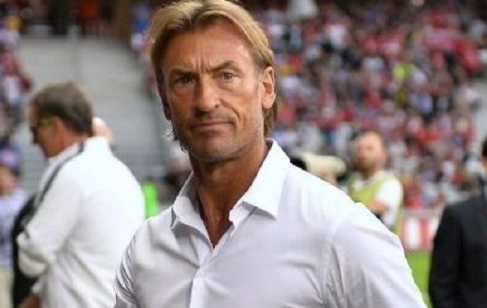 Hervé Renard se confie : « J’aimerais entraîner le Sénégal »