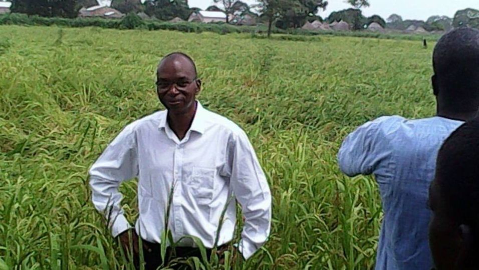 Campagne agricole : »Nous envisageons de mettre sur place 70 mille tonnes de semences », Moussa Baldé