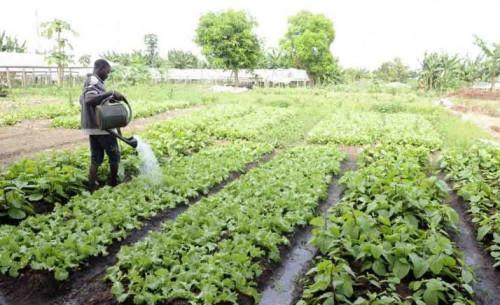 80 milliards Fcfa de la Bad pour des projets agricoles et d’investissement