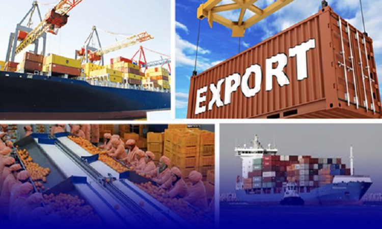 Exportations du Sénégal : Hausse de 43,6% enregistrée en juillet 2019