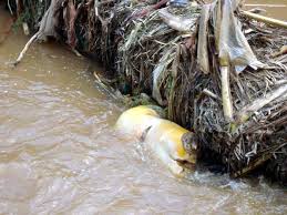 RD Congo : Massacre et inondation hantent la population congolaise