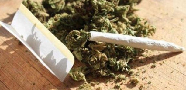 Statistiques de la drogue : 5% des élèves consomment de la drogue