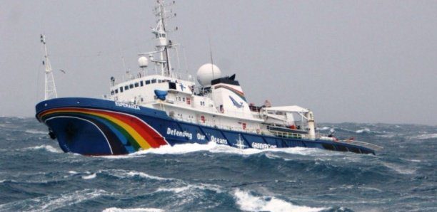 Farine de poisson : Greenpeace apporte une réplique au ministre de la pêche