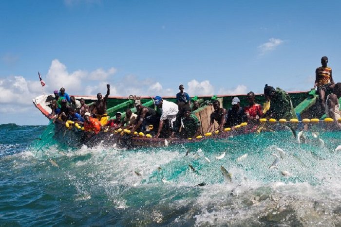 Mbour : Des pêcheurs opposés à l’érection d’un quai de pêche, le ministre rassure