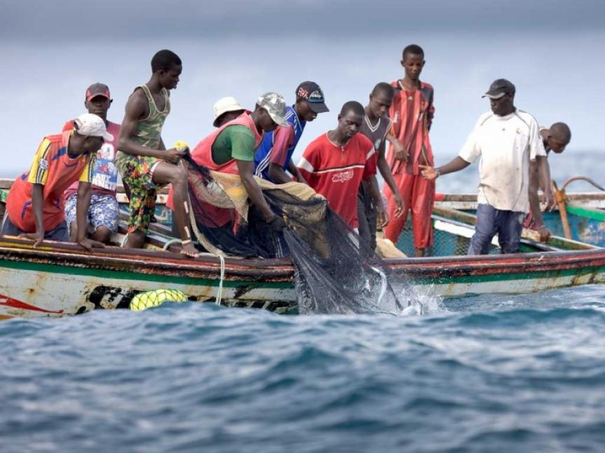Mbour : Un atelier pour évaluer l’interdiction de la pêche nocturne