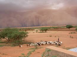 Contribution : Une solidarité internationale pour établir la paix et à la prospérité au Sahel