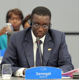 Parcelles Assainies/ »Exclusion d’Amadou Bâ de l’APR : La coordination dément et précise…