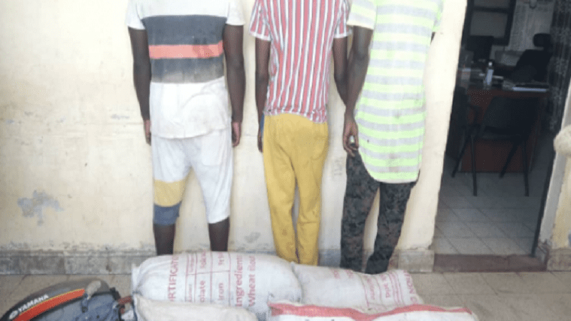 Diourbel : 1,7 kg de chanvre indien saisis et trois personnes arrêtées