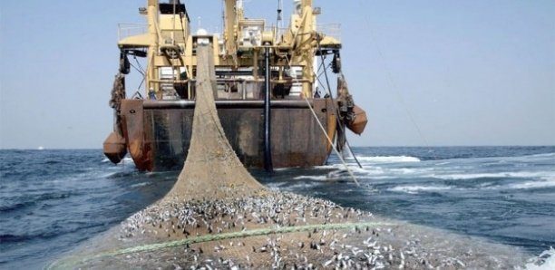 Une mission américaine à Dakar pour accompagner le Sénégal dans la lutte contre la pêche illégale
