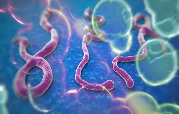 Kaffrine : Les pathologies liées aux maladies tropicales négligées jugées très fréquentes