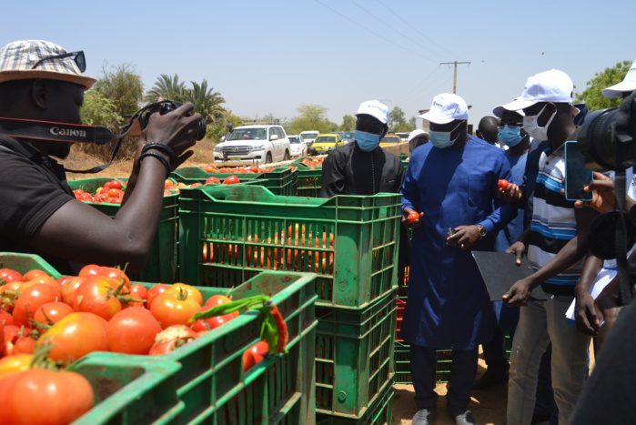 Programme Mija/Domaine de l’agricole : 15 840 jeunes seront formés et 5000 entreprises créées