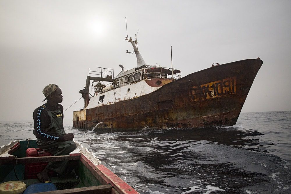 Afrique de l’Ouest : Un rapport révèle les «conséquences dévastatrices» du commerce de la farine et de l’huile de poisson