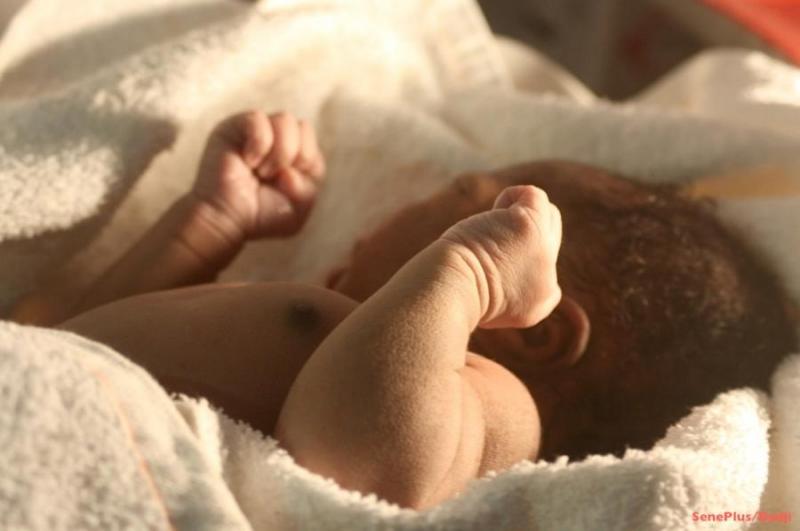 Mortalité néonatale au Sénégal : 3721 bébés décédés en 2020 et 791 femmes mortes en donnant la vie, Tamba affiche le plus fort taux