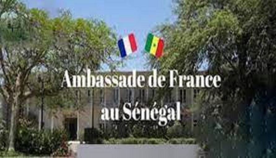 Visas pour la France : 17 622 demandes accordées à des Sénégalais entre janvier et septembre 2022