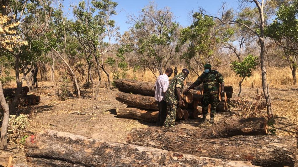 Ziguinchor/ Préservation des ressources naturelles : Le gouverneur Guédji Diouf évoque la tuerie de Boffa pour rappeler les convoitises autour des forêts en Casamance