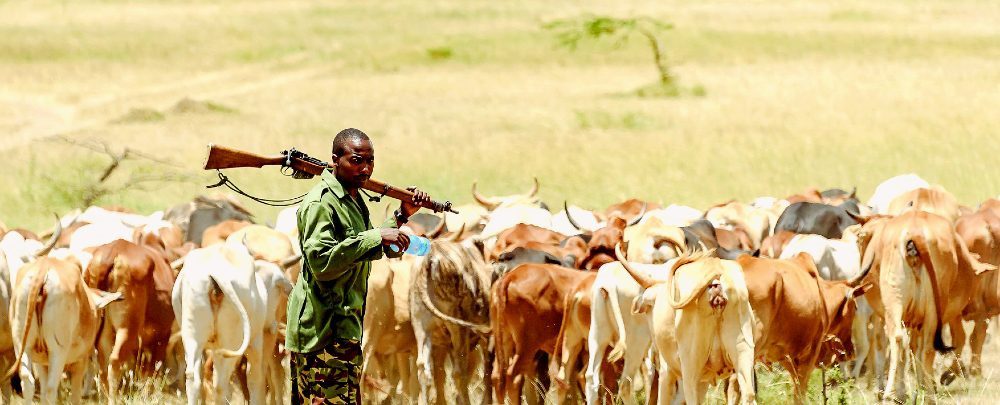 Semaine pastorale à Tambacounda : Des acteurs veulent prévenir les conflits transfrontaliers entre agriculteurs et éleveurs