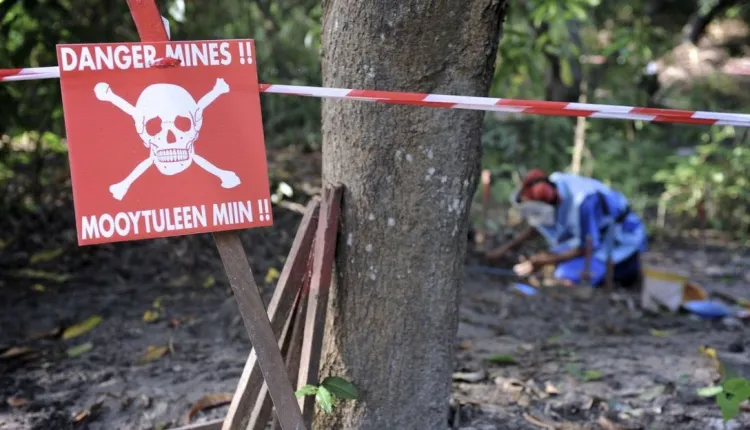 Ziguinchor : « Environ 1,5 millions de mètres carrés restent à être déminés », (Gouverneur)