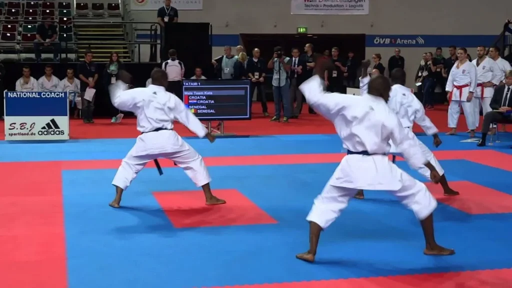 Championnats du monde seniors de karaté à Budapest : « Tous les Sénégalais éliminés », selon le coach