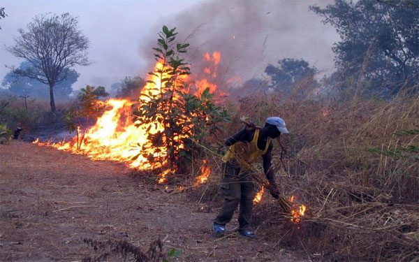 Ranérou : Un feu de brousse emporte des habitations et environ 100 hectares à Diongré