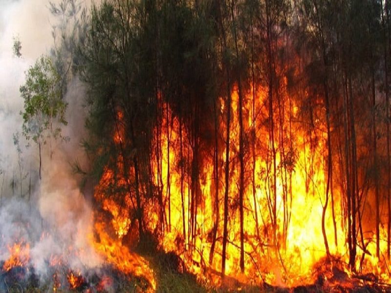 Tivaouane : Neuf feux de brousse dénombrés depuis début 2024