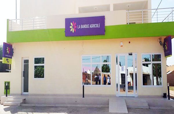Fatma Fall nommée nouvelle directrice générale de la Banque agricole
