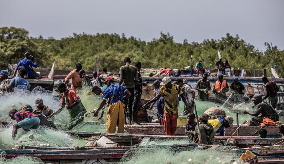 Gambie : bras de fer entre pêcheurs locaux et navires commerciaux