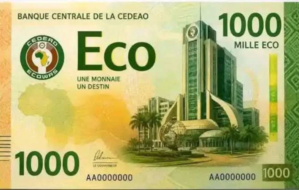 CEDEAO : le projet de monnaie unique ECO maintenu pour 2027
