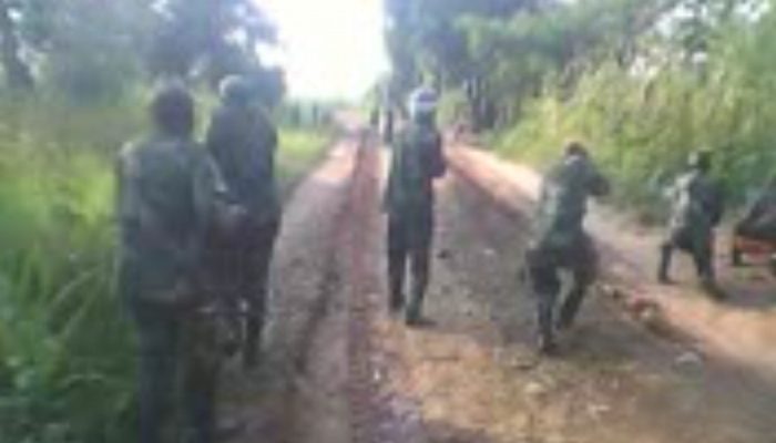 Massacre au Kasai: Des militaires écopent de peines de 15 ans à la perpétuité
