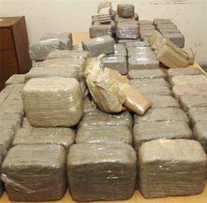 Mali : Saisie importante de cannabis dans la région de Sikasso