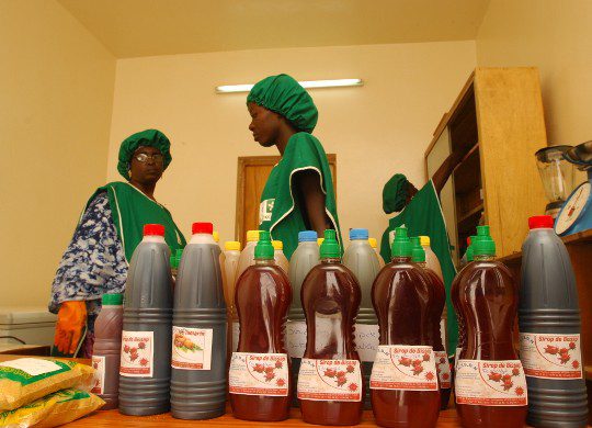 Entreprenariat rapide des femmes et des jeunes : Tambacounda reçoit 1,798 milliards Fcfa de la DER