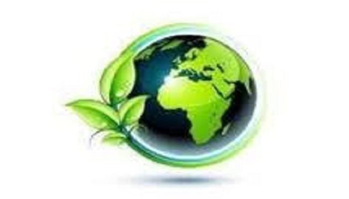 Environnement : Le Sénégal bientôt dans l’export vert (ENEV)