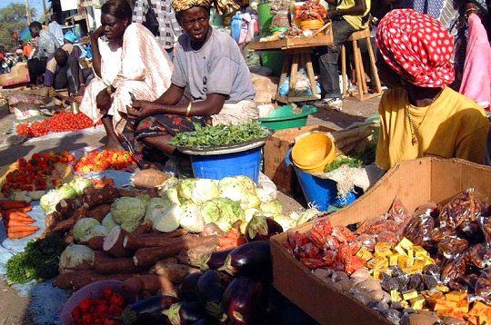 Sénégal – Commerce : La libéralisation de l’économie, l’un des facteurs à l’origine de la fragilité de la protection des consommateurs