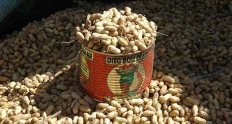 Sénégal : le prix au producteur du kilogramme d’arachide fixé à 250 francs CFA