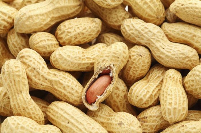 Commercialisation de l’arachide : Ça traîne toujours !
