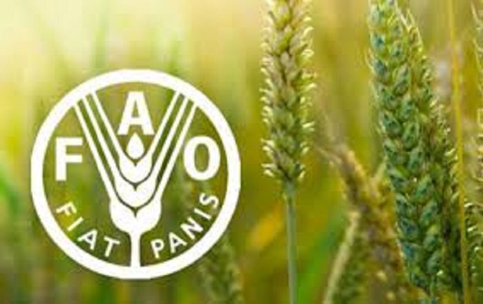 Diplomatie : La FAO choisit le Sénégal pour abriter son siège sous-régional pour l’Afrique de l’Ouest