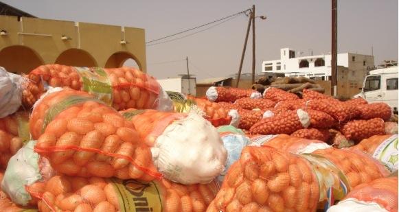 Saint Louis – Lutte contre la fraude : 171 sacs d’oignon et 28 sacs de pomme de terre saisis à Dagana