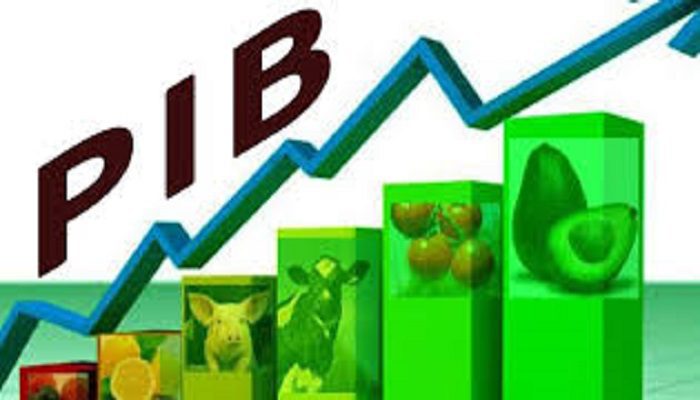 Economie : L’Afrique subsaharienne totalise un PIB de 1600 milliards de $ en 2017